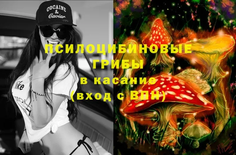 Псилоцибиновые грибы MAGIC MUSHROOMS  Кашира 